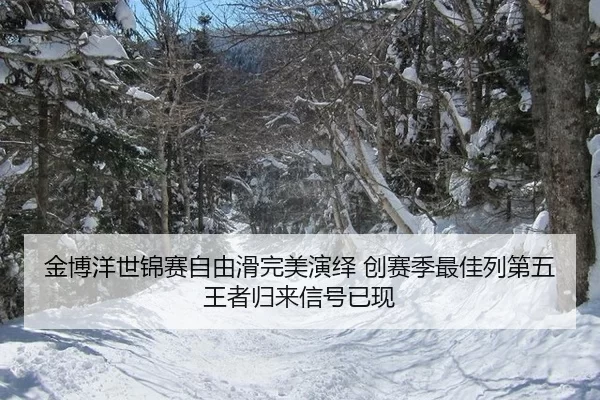 jin-bo-yang-shi-jin-sai-zi-you-hua-wan-mei-yan-yi-chuang-sai-ji-zui-jia-lie-di-wu-wang-zhe-gui-lai-xin-hao-yi-xian-2-554.jpg